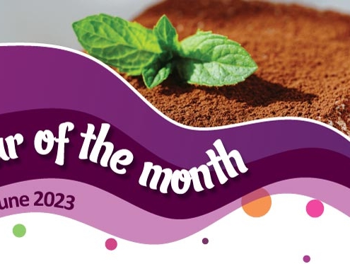 House of Flavour - Flavour of the month - June 2023 Tiramisu