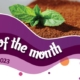 House of Flavour - Flavour of the month - June 2023 Tiramisu