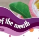 House of Flavour - Flavour of the month - July 2023 Passion Fruit