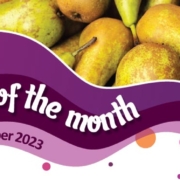 Pear-feature-Image House of Flavour - Flavour of the month - November 2023 Pear
