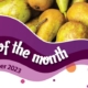 House of Flavour - Flavour of the month - November 2023 Pear