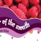 House of Flavour - Flavour of the month - May 2024 Raspberry