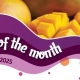 House of Flavour - Flavour of the month - June 2025 Mango