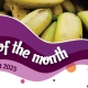 House of Flavour - Flavour of the month - August 2025 Banana