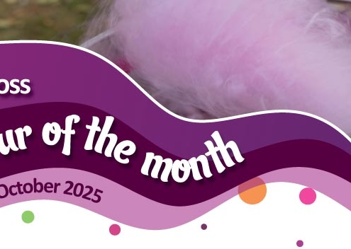 House of Flavour - Flavour of the month - October 2025 Candy Floss