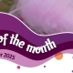 House of Flavour - Flavour of the month - October 2025 Candy Floss