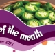 House of Flavour - Flavour of the month - November 2025 Jalapeno