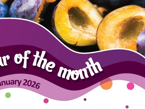 House of Flavour - Flavour of the month - January 2026 Plum