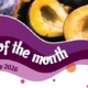 House of Flavour - Flavour of the month - January 2026 Plum